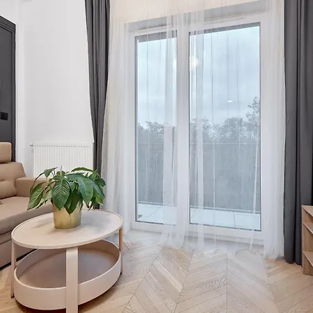 Apartment Nadolnik With Mezzanine Poznan