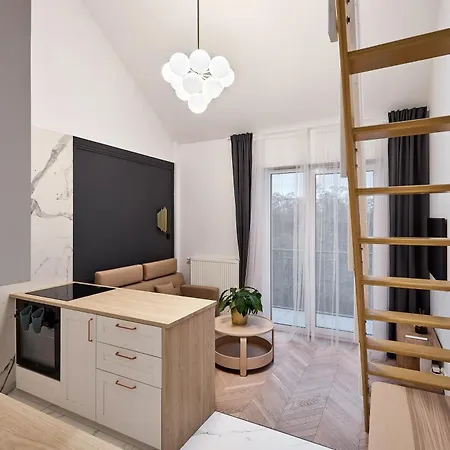 Apartment Nadolnik With Mezzanine Poznan